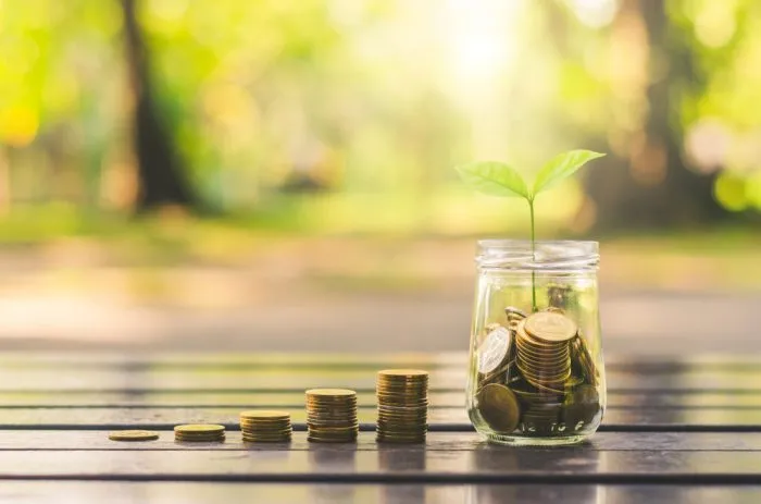 Coins growing into a plant — symbol of compound investment returns